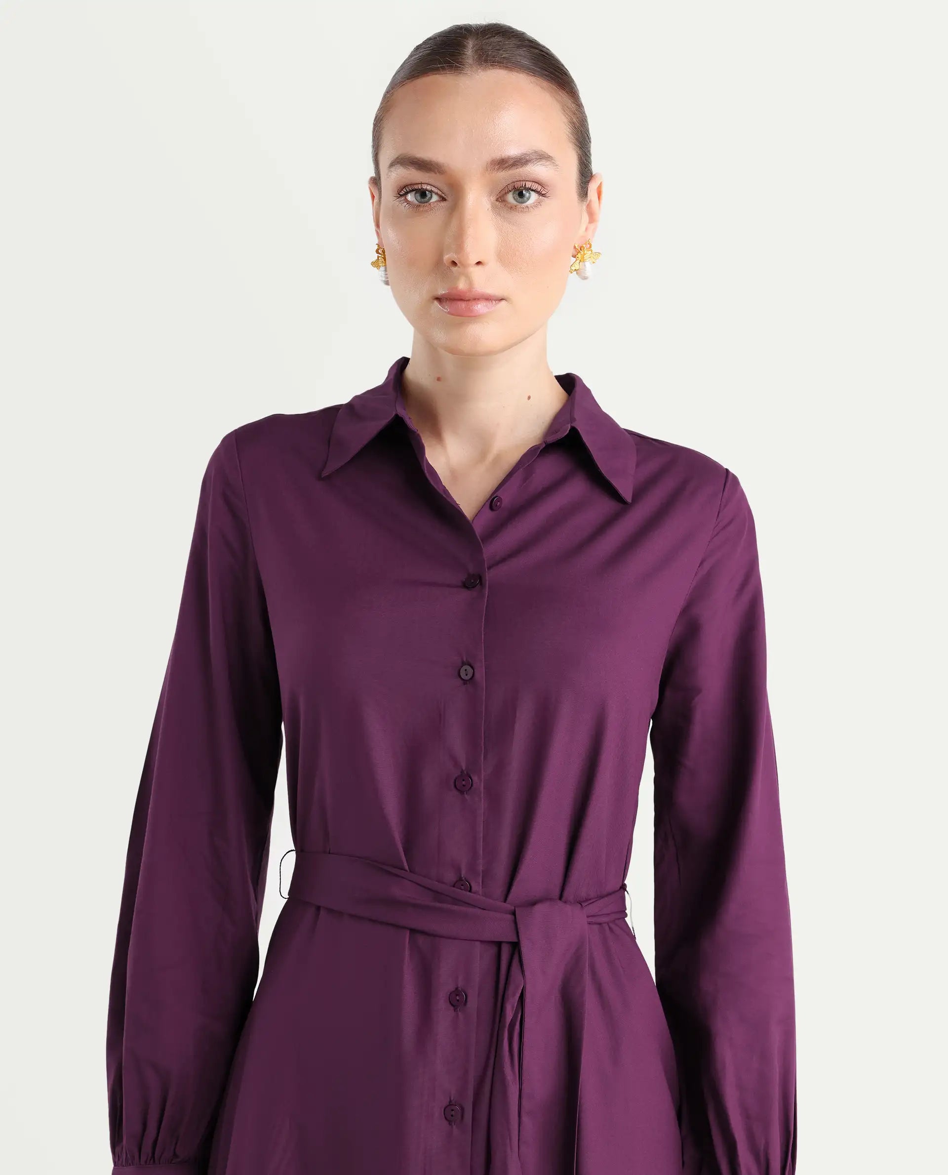 Rareism Women's Eleia Maroon Viscose Collared Neck A-Line Plain Midi Dress - Image 4